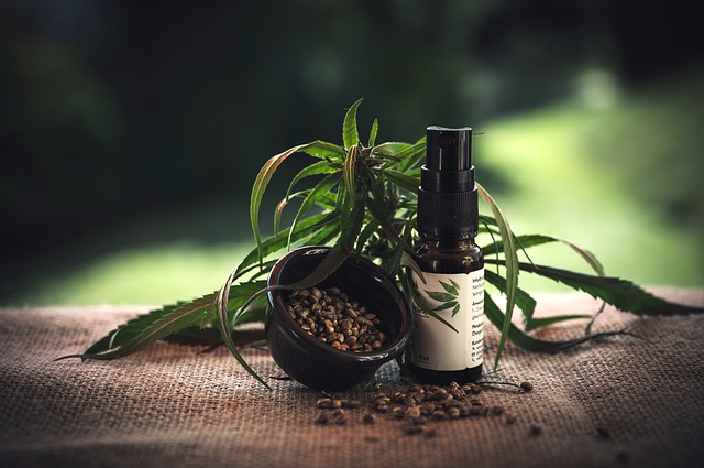 cbd öl