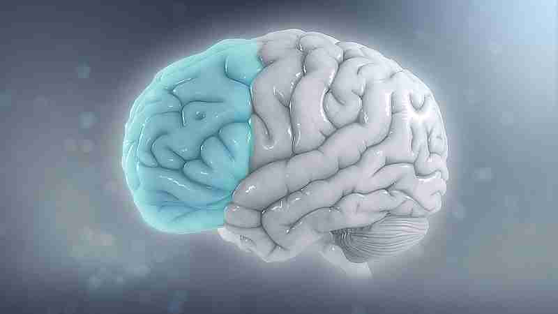 Attention deficit hyperactivity disorder Attention deficit hyperactivity disorder Reduced brain volume on the left side from ADHD, tags: belohnungs- und - CC BY-SA